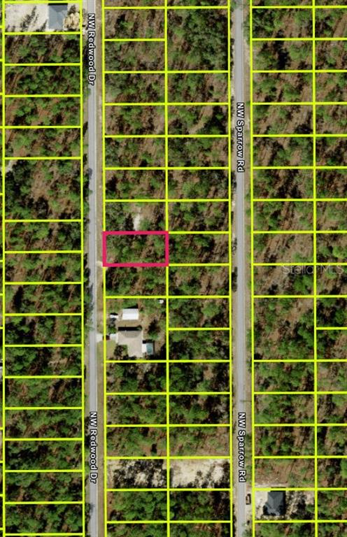 This is an aerial map showing a rectangular lot highlighted in pink among wooded parcels — 259 NW REDWOOD DRIVE, DUNNELLON, FL