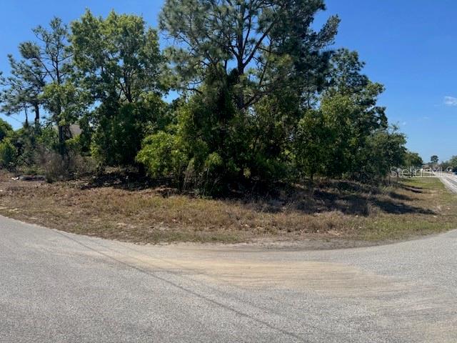 A vacant, wooded corner lot sits at the intersection of two paved roads — 11364 PATCH STREET, SPRING HILL, FL