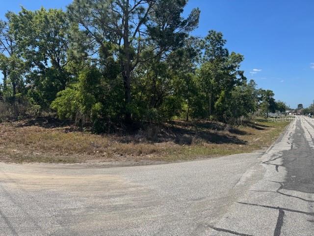 A vacant, wooded corner lot sits at the intersection of two paved roads — 11364 PATCH STREET, SPRING HILL, FL