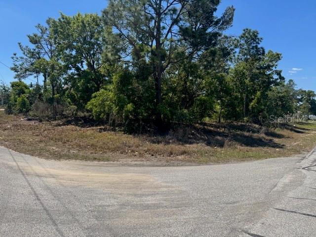 A vacant, wooded corner lot sits at the intersection of two paved roads — 11364 PATCH STREET, SPRING HILL, FL