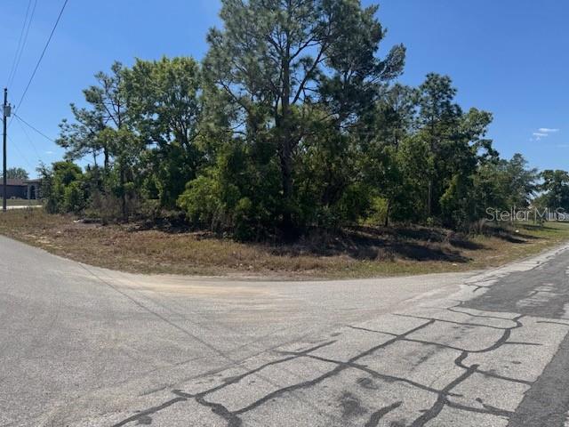 A vacant, tree-covered corner lot sits at the intersection of two paved residential streets — 11364 PATCH STREET, SPRING HILL, FL