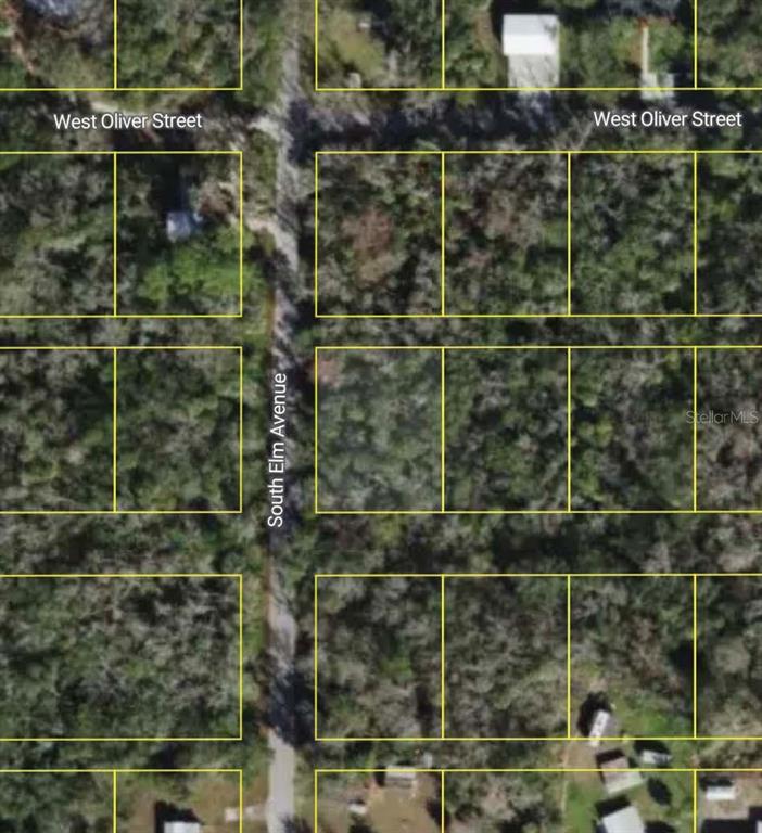 This is an aerial map view showing several vacant, wooded residential lots along a street — 10243 W PALMETTO STREET, HOMOSASSA, FL
