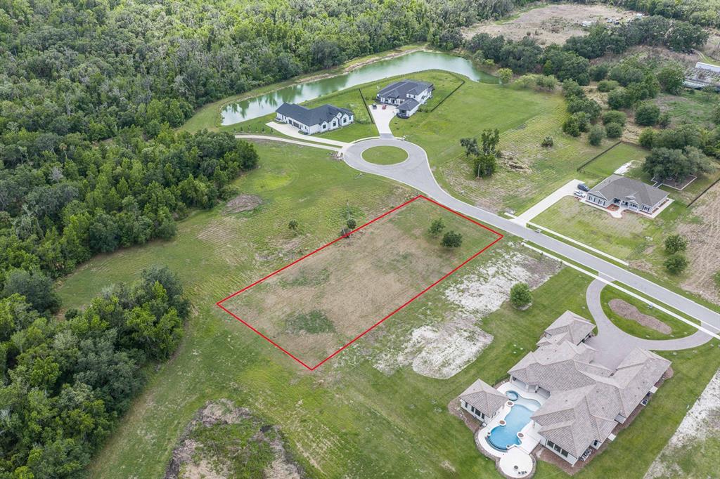 15322 FISHHAWK HEIGHTS RUN, LITHIA, FL — photo 4 of 10