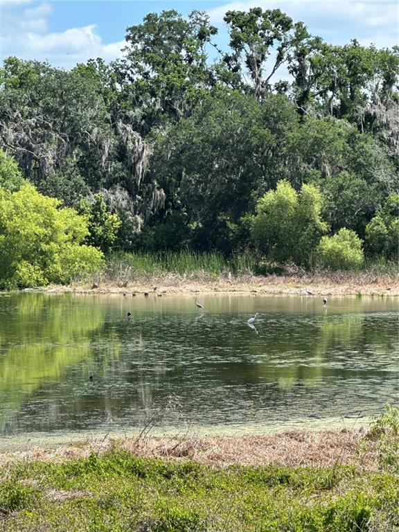 15322 FISHHAWK HEIGHTS RUN, LITHIA, FL — photo 5 of 10