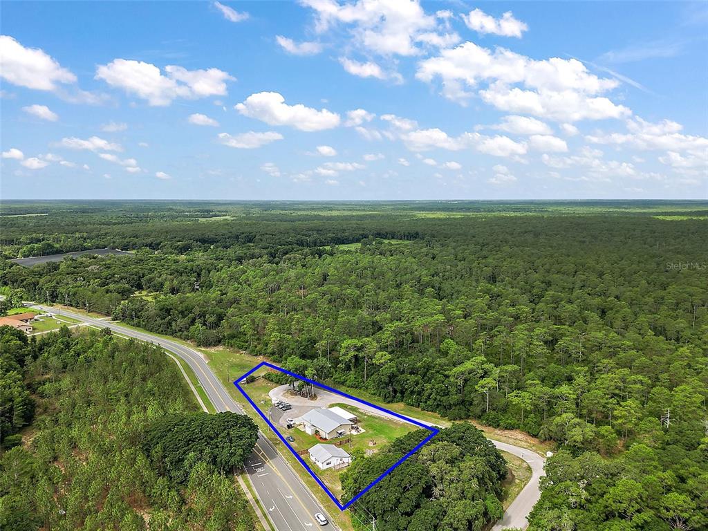 An aerial view shows a house and outbuilding on a lot bordered by a road — 25031 COUNTY ROAD 42, PAISLEY, FL