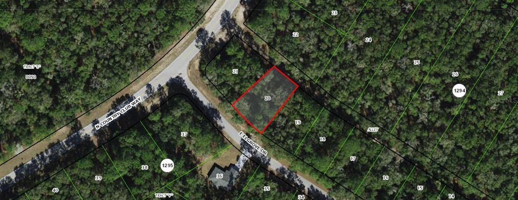 This is an aerial map showing a vacant lot outlined in red on a residential street — 275 E ELGROVE DRIVE, CITRUS SPRINGS, FL