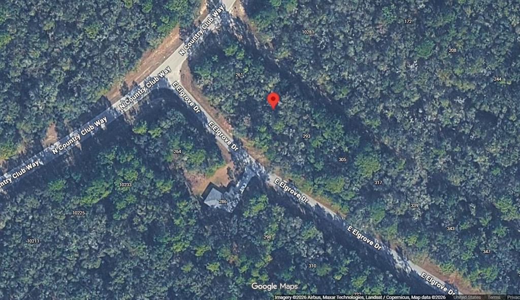 This is a satellite map view showing a wooded residential lot marked with a red pin — 275 E ELGROVE DRIVE, CITRUS SPRINGS, FL