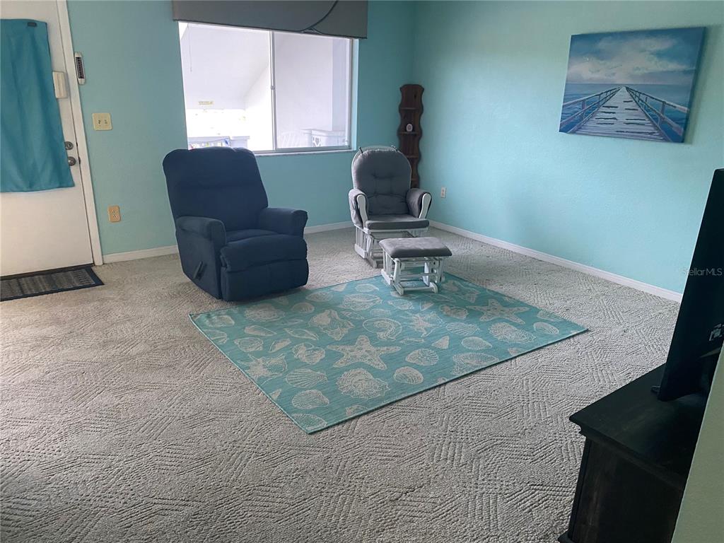 A living room features light blue walls, a seashell-patterned area rug, and two armchairs — 11224 82ND AVENUE UNIT 210, SEMINOLE, FL