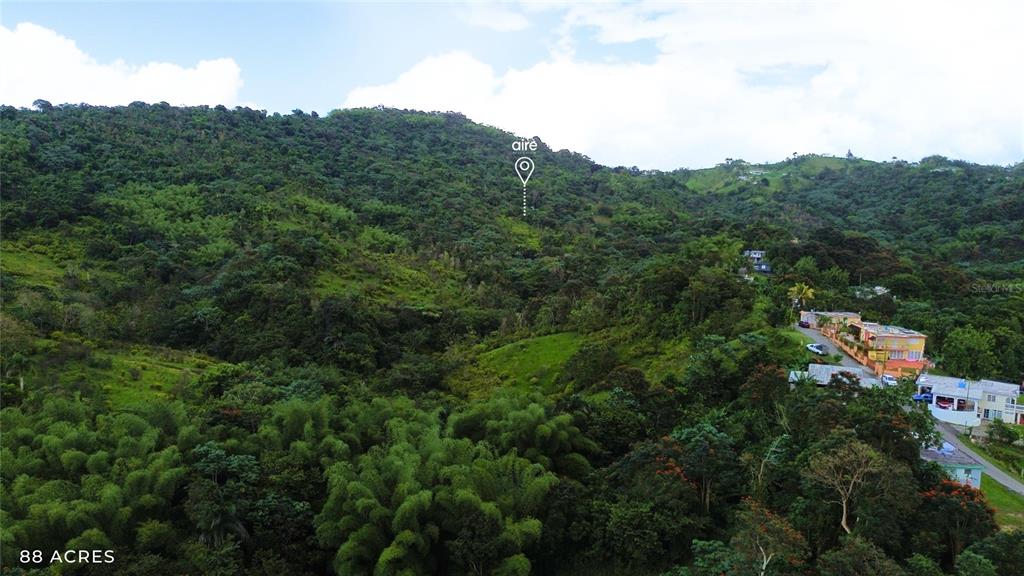 An aerial view shows a large, hilly, forested landscape with a small residential area nearby — PR-181 km 11.0 CAYAGUAZ, SAN LORENZO, PR