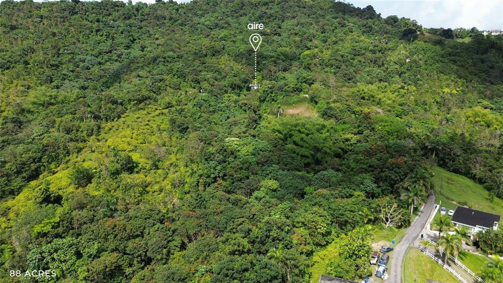 An aerial view shows a large, densely forested hillside with a small structure and road — PR-181 km 11.0 CAYAGUAZ, SAN LORENZO, PR