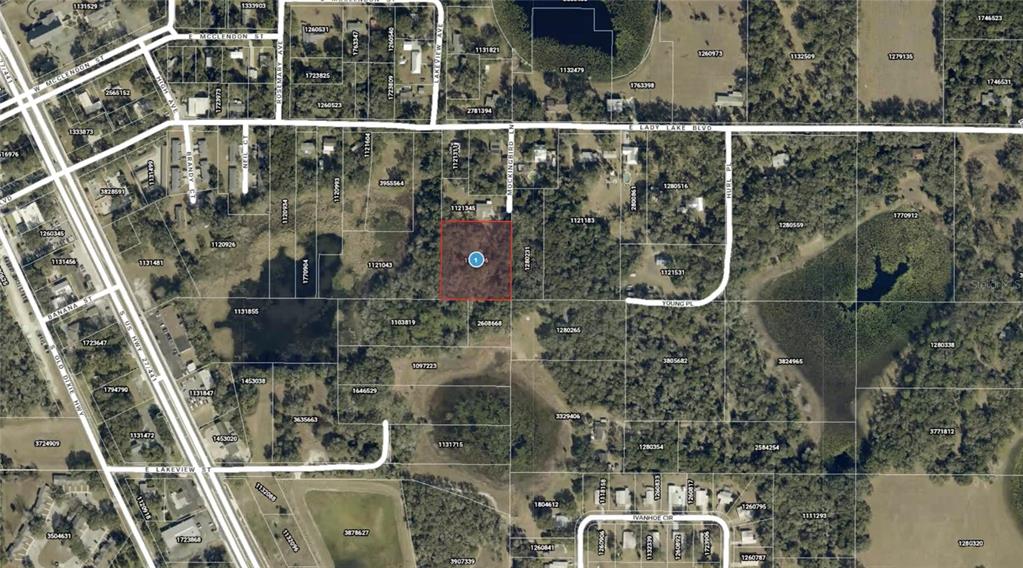 This is an aerial map showing a highlighted parcel of land surrounded by residential properties — 128 MOCKINGBIRD LANE, LADY LAKE, FL
