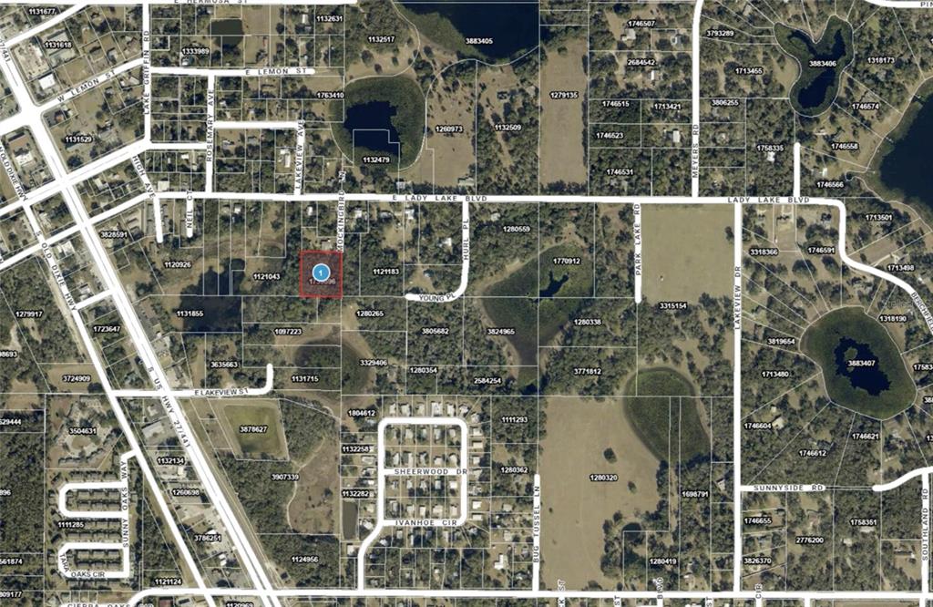 This is an aerial map showing a highlighted property parcel surrounded by residential streets — 128 MOCKINGBIRD LANE, LADY LAKE, FL