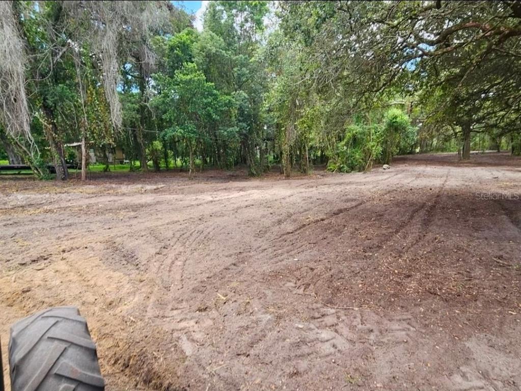 A cleared dirt lot with tire tracks sits in front of a wooded area — 128 MOCKINGBIRD LANE, LADY LAKE, FL