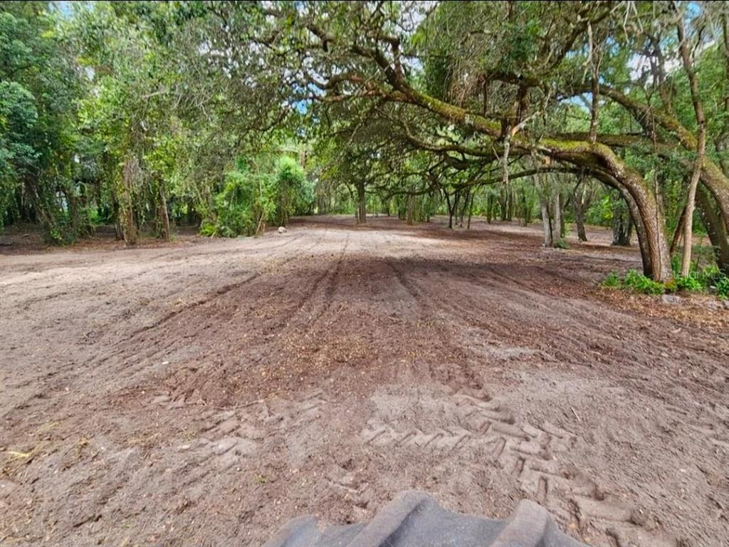 A cleared, dirt-covered lot features mature trees and tire tracks under a canopy of branches — 128 MOCKINGBIRD LANE, LADY LAKE, FL
