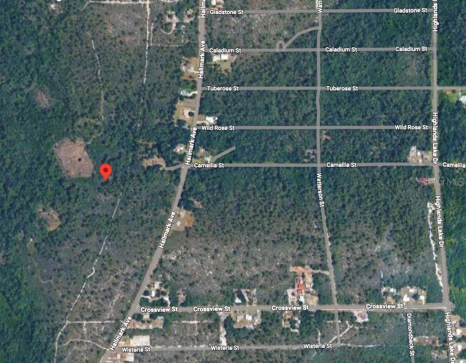 This is an aerial map view of a wooded residential area with undeveloped street grids — 734 DOLPHIN AVENUE, LAKE PLACID, FL