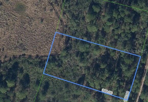 This aerial map shows a rectangular plot of land outlined in blue with dimensions — 734 DOLPHIN AVENUE, LAKE PLACID, FL