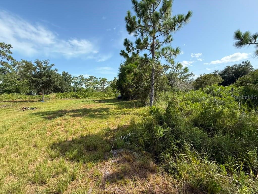 A grassy, partially wooded lot with scattered trees under a blue sky — 6139 KRAZY, ST CLOUD, FL