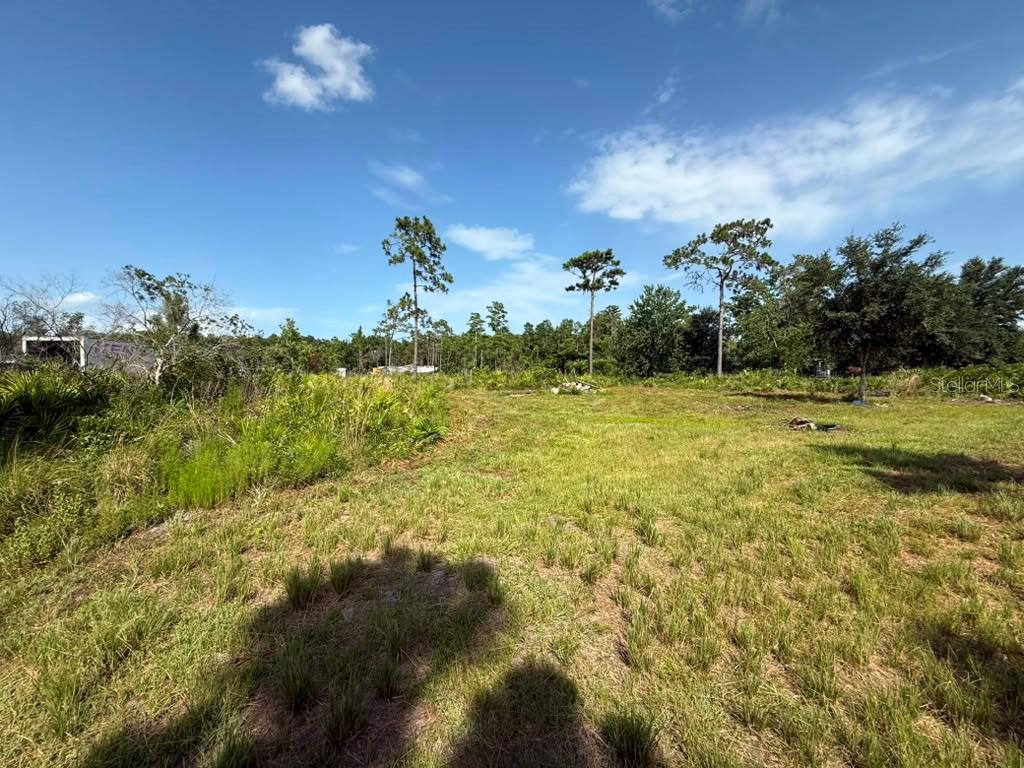 A grassy, undeveloped lot features scattered trees under a bright blue sky — 6139 KRAZY, ST CLOUD, FL