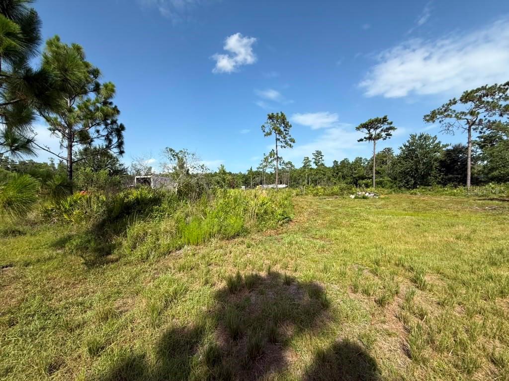 A grassy, partially wooded vacant lot under a blue sky with scattered clouds — 6139 KRAZY, ST CLOUD, FL