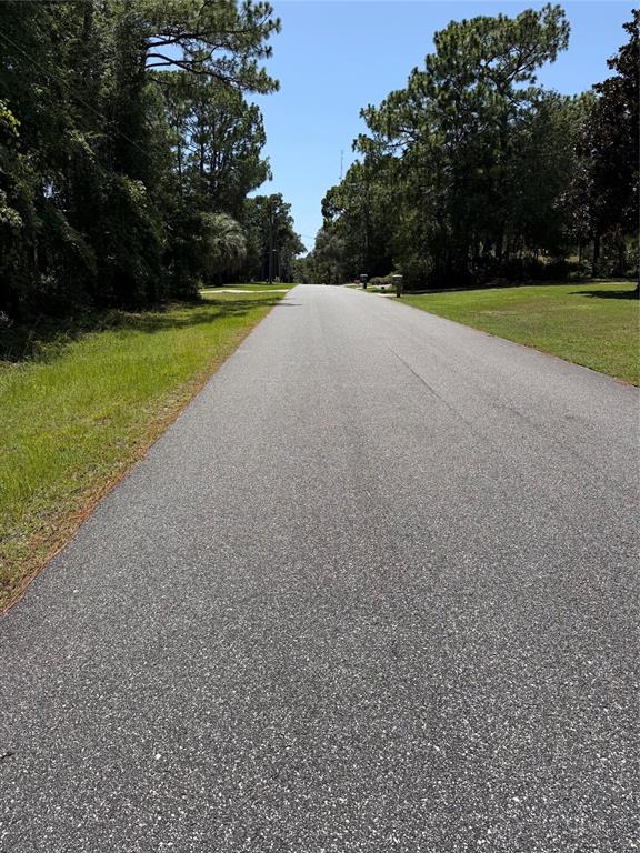 A paved road stretches forward between grassy shoulders lined with mature trees under a clear sky — 2692 W SUNRISE STREET, LECANTO, FL