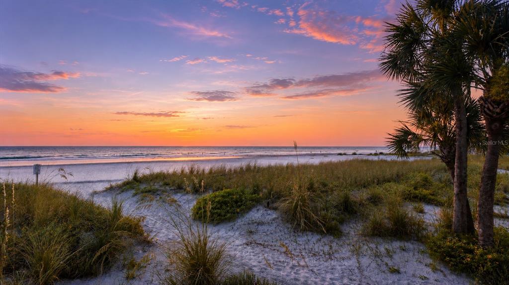 A sandy beach with dunes and palm trees at sunset overlooking the ocean — 20 WHISPERING SANDS DRIVE UNIT 501, SARASOTA, FL