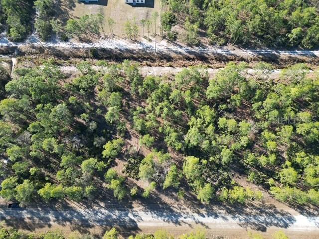 An aerial view shows a wooded lot bordered by dirt roads on two sides — 705 LAGUNA DRIVE, INDIAN LAKE ESTATES, FL