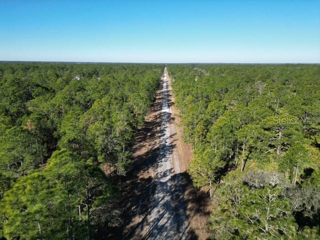 An aerial view shows a dirt road cutting through a dense forest of pine trees — 705 LAGUNA DRIVE, INDIAN LAKE ESTATES, FL