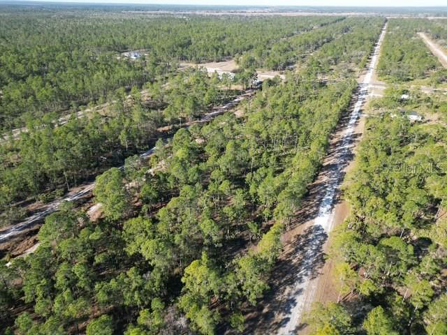 An aerial view shows a dirt road running through a wooded, undeveloped plot of land — 705 LAGUNA DRIVE, INDIAN LAKE ESTATES, FL