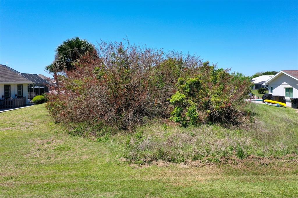 A large, overgrown bush sits in the center of a grassy residential lot — 17 CLARIDGE COURT N, PALM COAST, FL