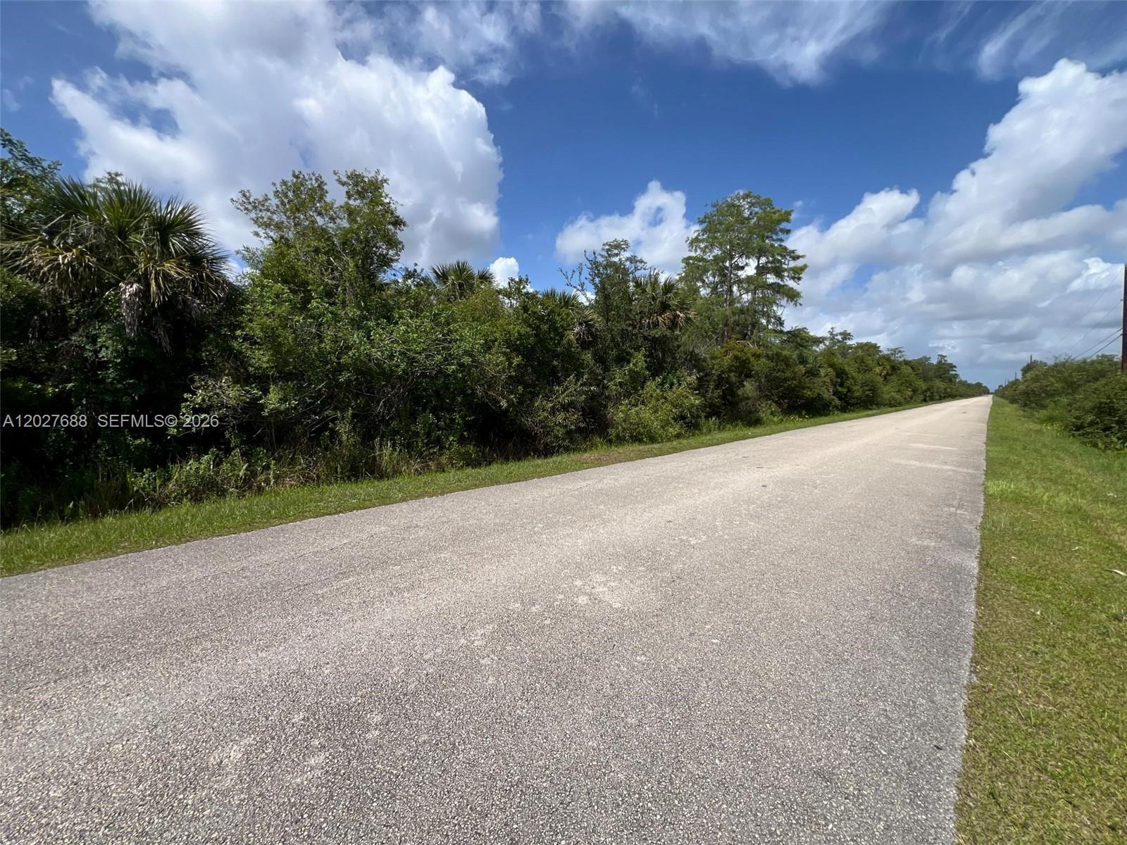A paved road runs alongside a dense line of trees and shrubs under a blue sky — 0 37th Avenue NE, Naples FL 34120, NAPLES, FL