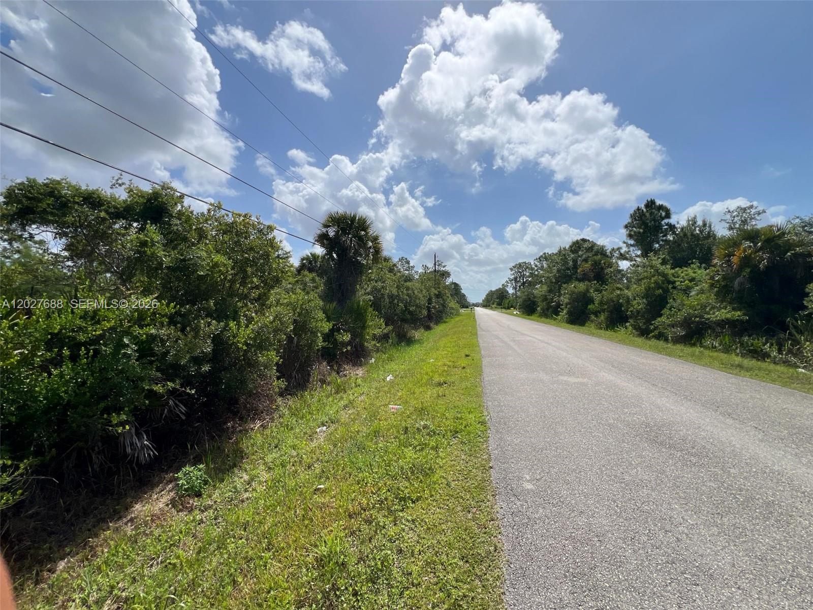 A paved road stretches into the distance, bordered by dense green vegetation and power lines — 0 37th Avenue NE, Naples FL 34120, NAPLES, FL