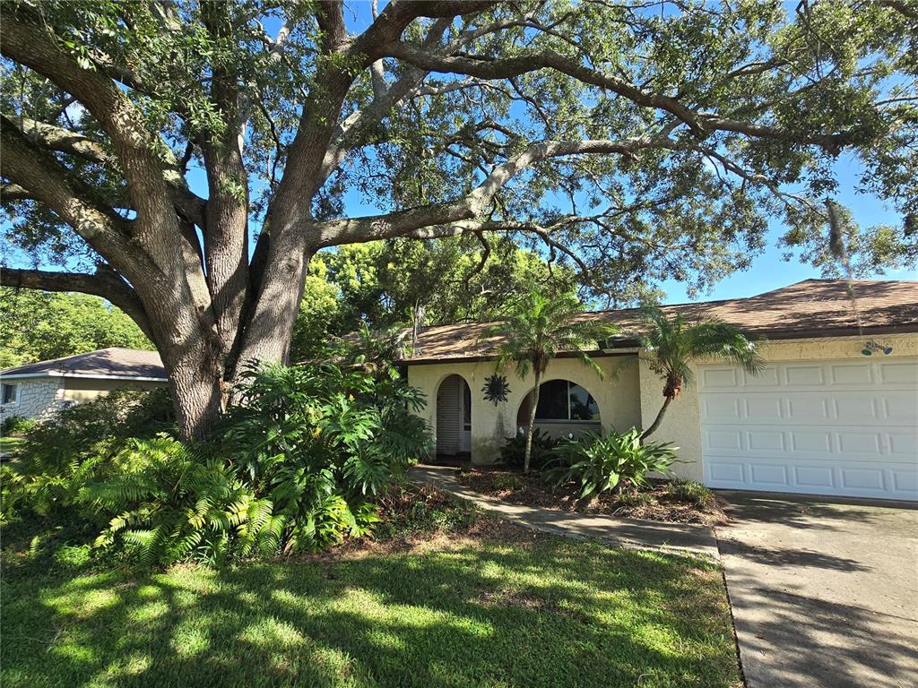 A single-story house with a large oak tree, arched entryway, and a white garage door — 8431 PAMLICO STREET, ORLANDO, FL