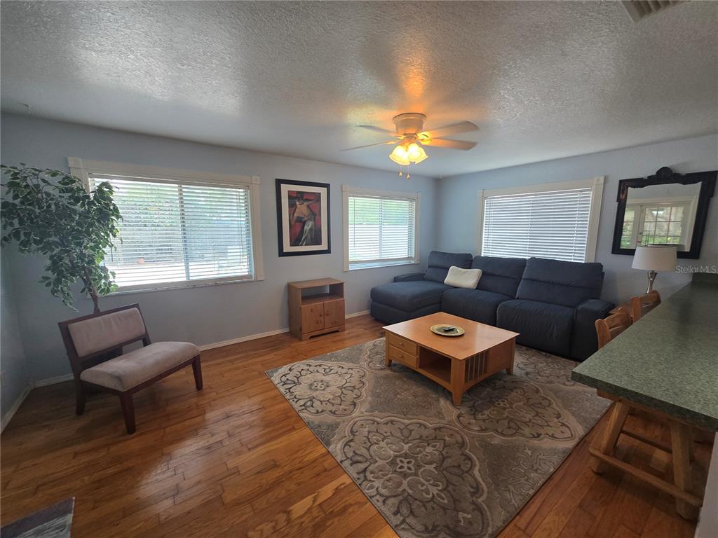 A living room features a blue sectional sofa, wood flooring, and a patterned area rug — 8431 PAMLICO STREET, ORLANDO, FL