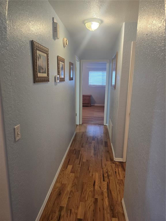 A hallway with light blue walls, wood flooring, and a ceiling light fixture — 8431 PAMLICO STREET, ORLANDO, FL