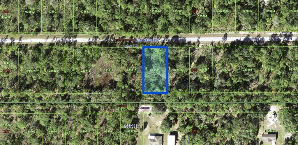 This is an aerial map showing a highlighted rectangular plot of land among wooded lots — ALLAMANDA DRIVE, INDIAN LAKE ESTATES, FL