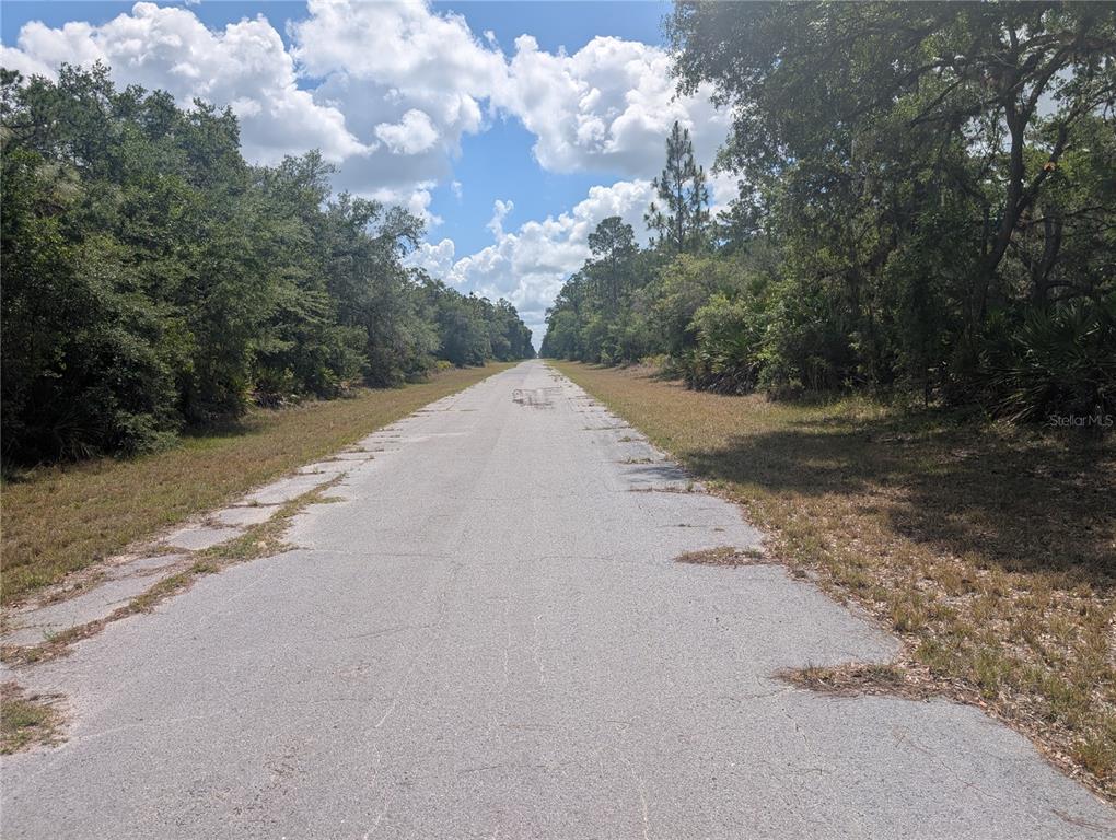 A paved road stretches through a wooded area under a blue sky with clouds — ALLAMANDA DRIVE, INDIAN LAKE ESTATES, FL