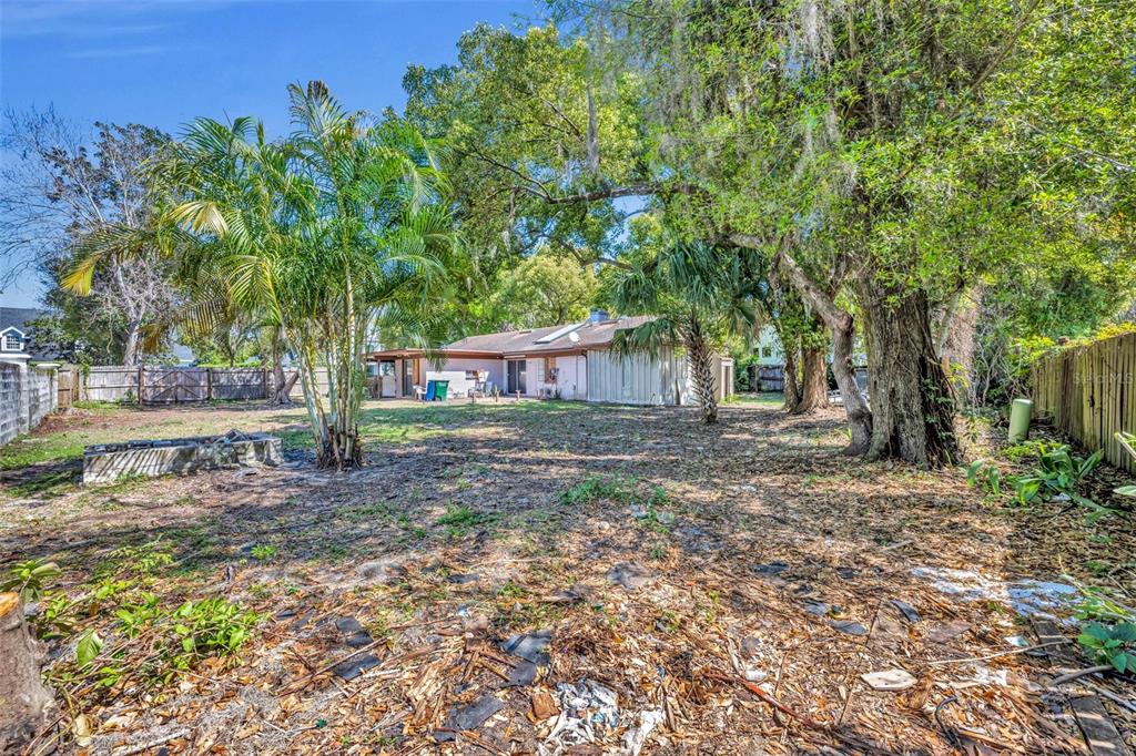 A backyard with a palm tree, large oak trees, a wooden fence, and a house exterior — 1560 LAKEHURST AVENUE, WINTER PARK, FL