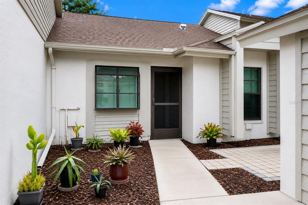 A front entryway features a concrete walkway, potted plants, and a screen door — 11736 ROLLING PINE LANE, PORT RICHEY, FL