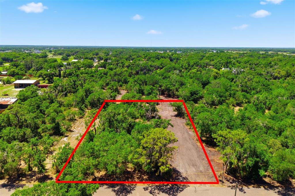 This is a land survey plat map for the HLT Estates minor subdivision — 19084 RED BIRD LANE LOT 1, LITHIA, FL