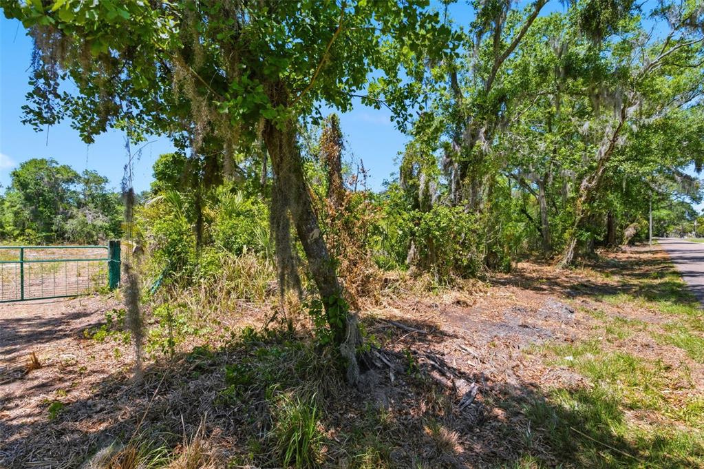 An aerial view shows a large, wooded plot of land outlined in red with numbered sections — 19084 RED BIRD LANE LOT 1, LITHIA, FL