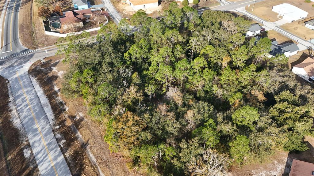 An aerial view shows a wooded, undeveloped lot situated between paved roads and residential houses — TBD WALNUT STREET, KISSIMMEE, FL