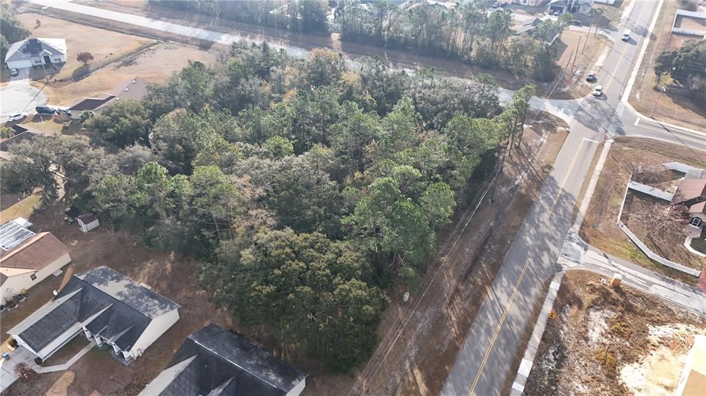An aerial view shows a wooded, undeveloped lot situated between residential houses and a road — TBD WALNUT STREET, KISSIMMEE, FL