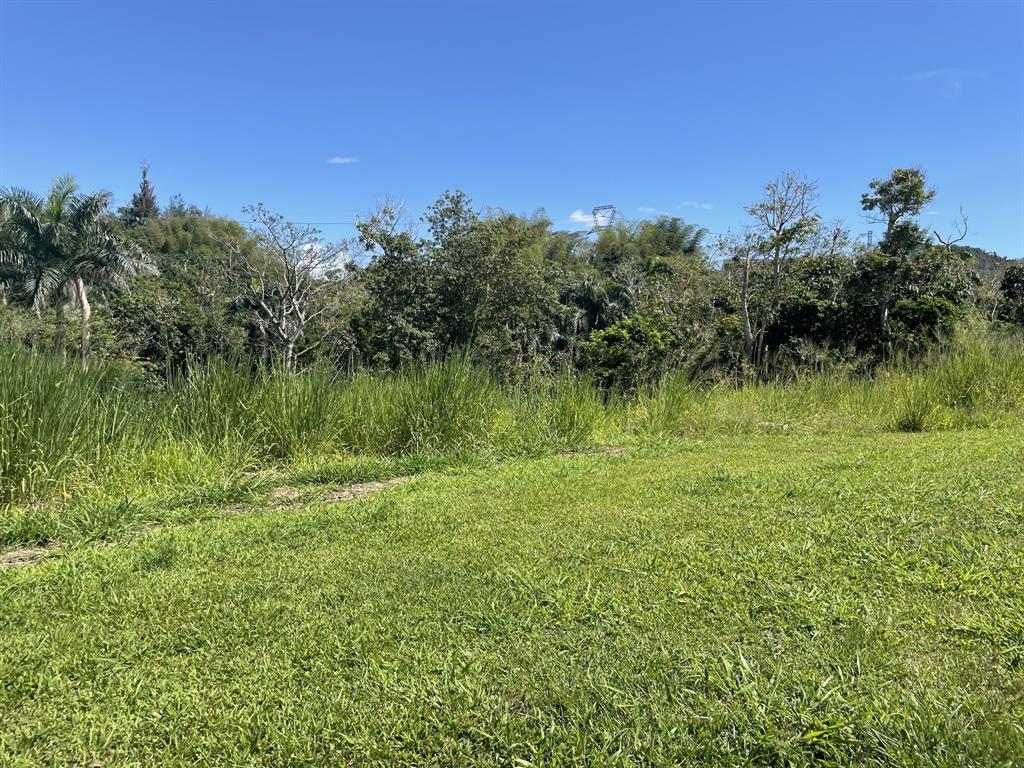 JACINTO, CAGUAS, PR — photo 4 of 16