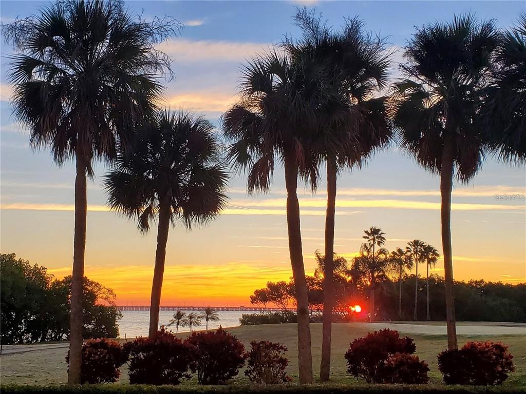 2616 COVE CAY DRIVE UNIT 102