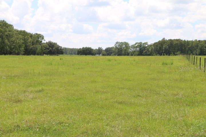 A wide, grassy field is bordered by a fence and a line of trees — GREEN SWAMP ROAD, CLERMONT, FL