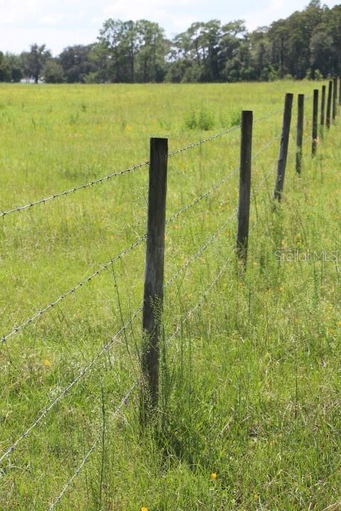 A barbed wire fence runs through a grassy field toward a line of trees — GREEN SWAMP ROAD, CLERMONT, FL