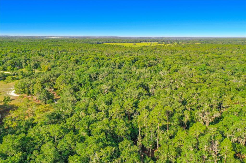 An aerial view shows a dense forest landscape under a clear blue sky — 33099 CORAL ROCK DRIVE, WEBSTER, FL