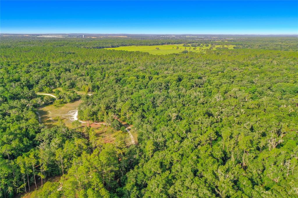 An aerial view shows a large, wooded property with a dirt path and open fields — 33099 CORAL ROCK DRIVE, WEBSTER, FL