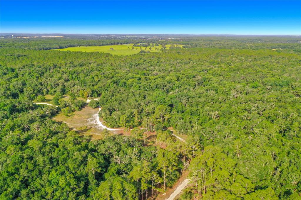 An aerial view shows a dirt path winding through a dense forest and open field — 33099 CORAL ROCK DRIVE, WEBSTER, FL