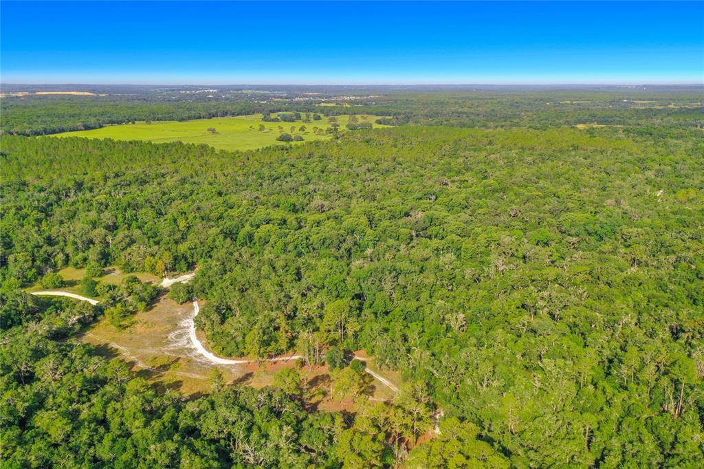 An aerial view shows a dirt path winding through a dense forest and open pasture — 33099 CORAL ROCK DRIVE, WEBSTER, FL